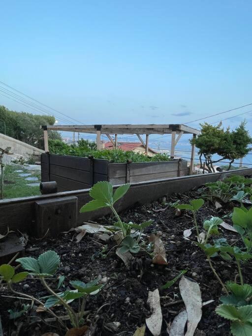 Superbe Terrasse Avec Vue Panoramique Sur La Mer Marseilles Exterior foto